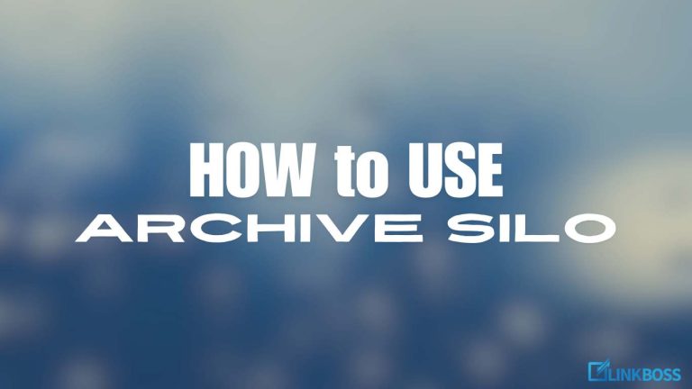 How to Use LinkBoss Archive SILO Tool