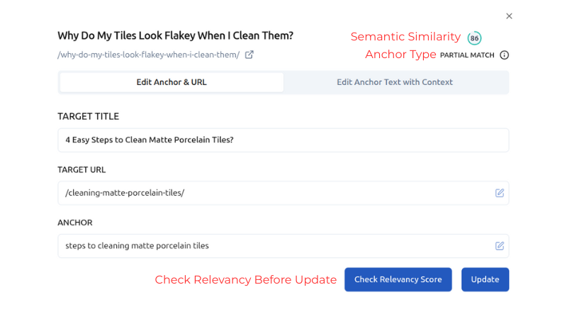 Check Semantic Similarity and Anchor Type Before Update
