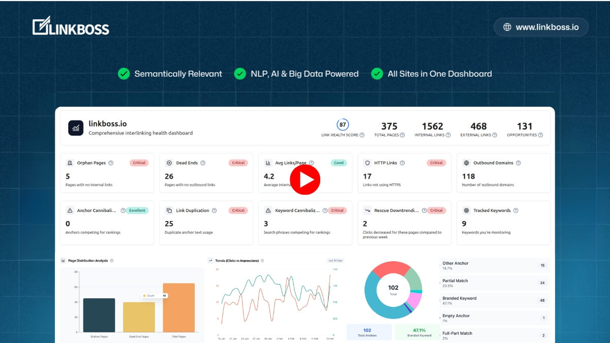 linkboss demo dashboard
